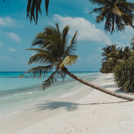 Muraka Dhigurah Dhigurah  Luaran gambar